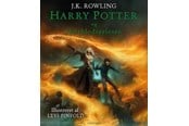 Ungdomsbøger - Harry Potter illustreret 6 - Harry Potter og Halvblodsprinsen - Ungdomsbog - hardcover - 9788702363005