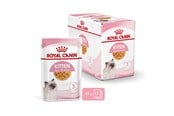 Katte - Royal Canin FHN Kitten Instinctive in jelly - wet food for kittens - 12x85g - 9003579311783