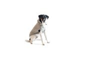 Hunde - Chill Kuzzi Beroligende Hoodie 45 cm grå - 380433