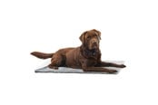 Hunde - KRUUSE Vet Bed Anti-slip grå 75 x 50 cm - 381614