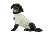 Hunde - KRUUSE BUSTER Body Suit Step´n Go til hunde, M, Dusty Gree - 273742
