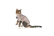 Katte - KRUUSE BUSTER Body Suit Step'n Go for Cats - XS - Viscose/Elastane - 273948