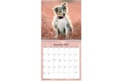 Kalender - Mayland Vægkalender mini Hundehvalpe 2027 - 27066410
