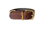 Hunde - Timely TEXAS Halsbånd Mørkebrun 20 mm. / 40 cm. - 5907784919571
