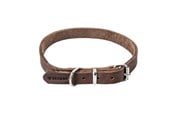 Hunde - Timely PRAG Halsbånd Mørkebrun 12 mm. / 30 cm. - 5907784896964