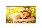 Infoskærme & Digital Skiltning - LG 55UL5Q-M Signage Display 55" - 55UL5Q-M