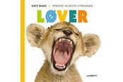 Børnebøger - Løver - Børnebog - Hardcover - 9788775664368