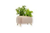 Boligindretning - Simiu - Thalor Herbs - krydderi urtepotte - Stor - 5714255019612