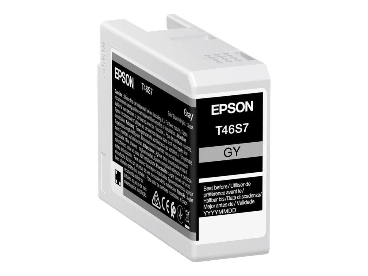 Epson Singlepack Gray T46S7 UltraChrome Pro 10 ink Printerpatron Og Toner Grå C13T46S700