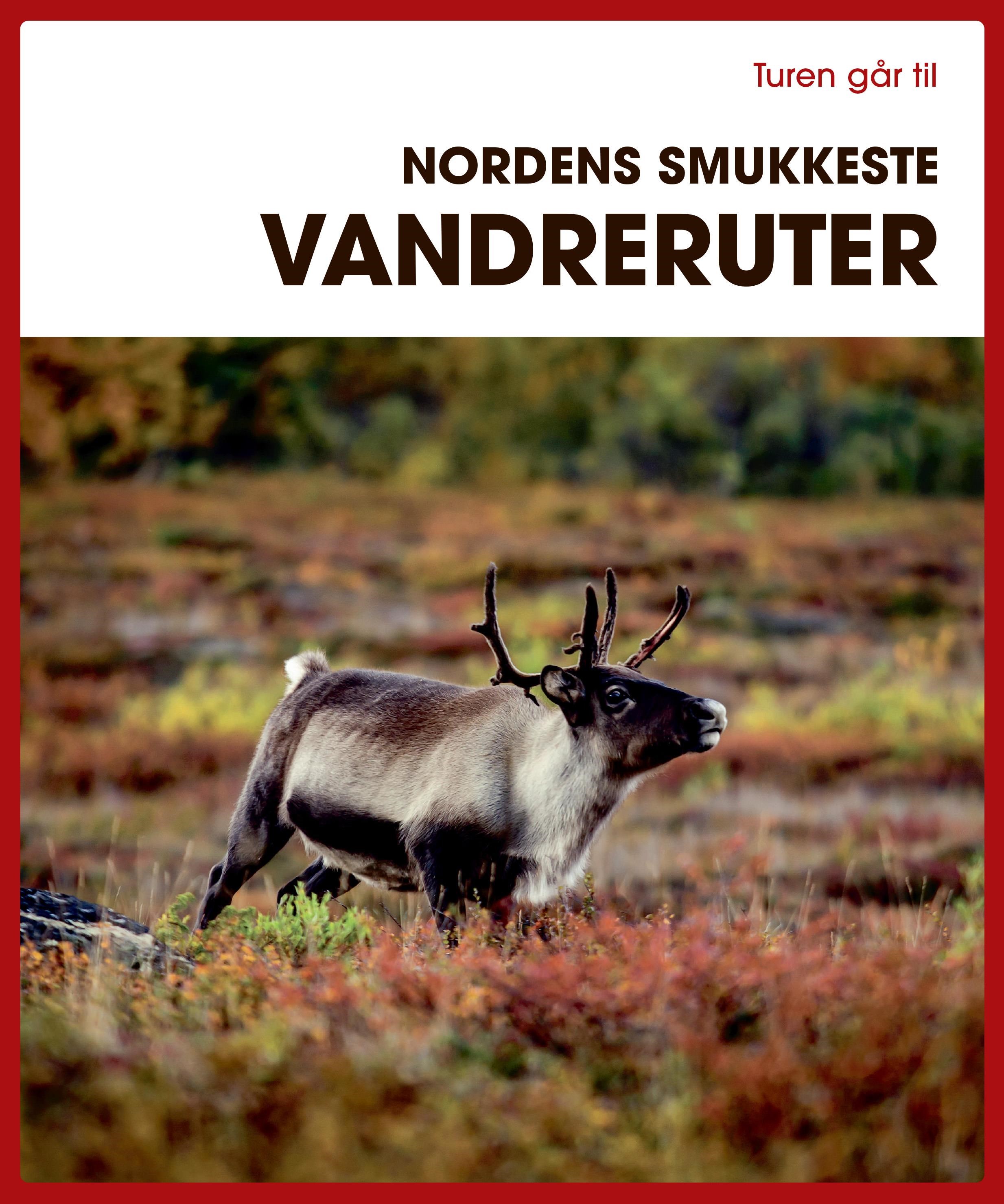 Turen går til Nordens smukkeste vandreruter - Rejsebog - Hæftet Rejsebog 9788740074932