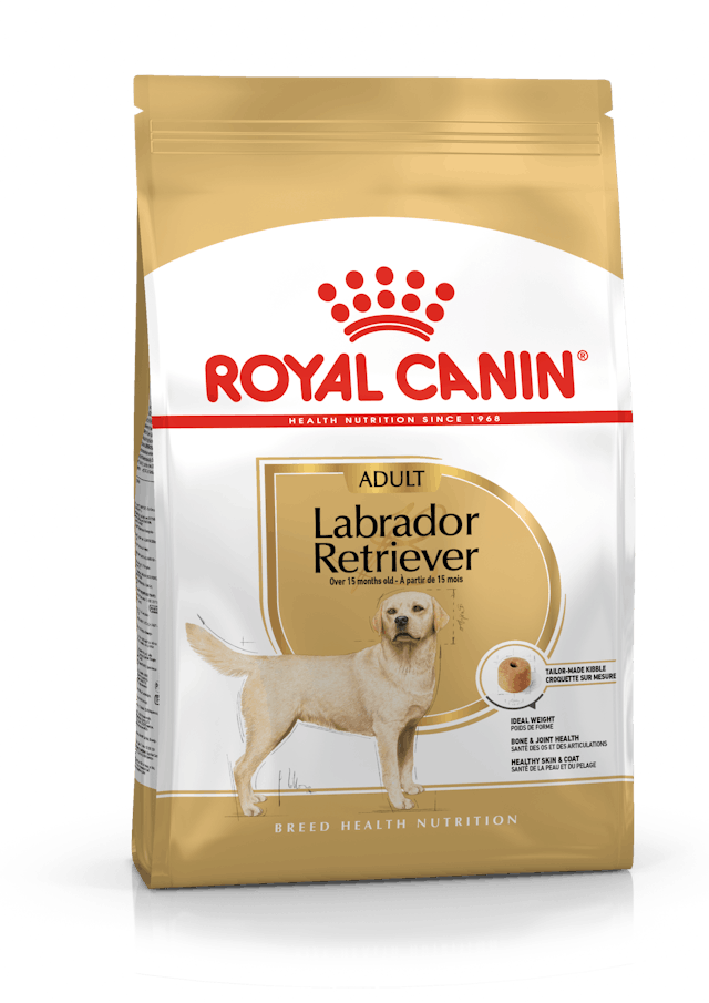 Royal Canin Labrador Retriever Adult 12kg Hundeudstyr 3182550715645