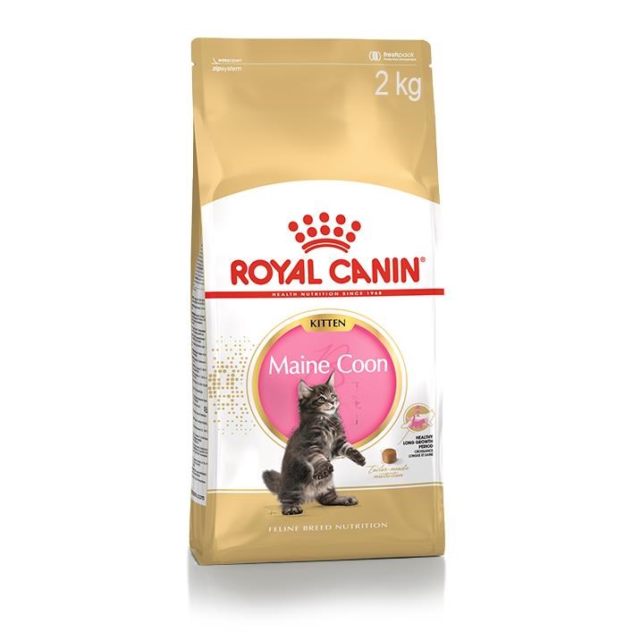 Royal Canin Maine Coon Kitten 2kg Katteudstyr 3182550816502