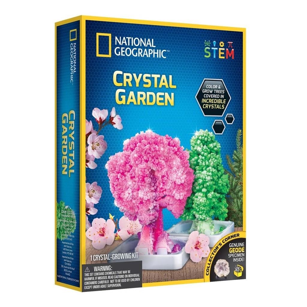 National Geographic Crystal Garden Kreativt Legetøj 29-6010