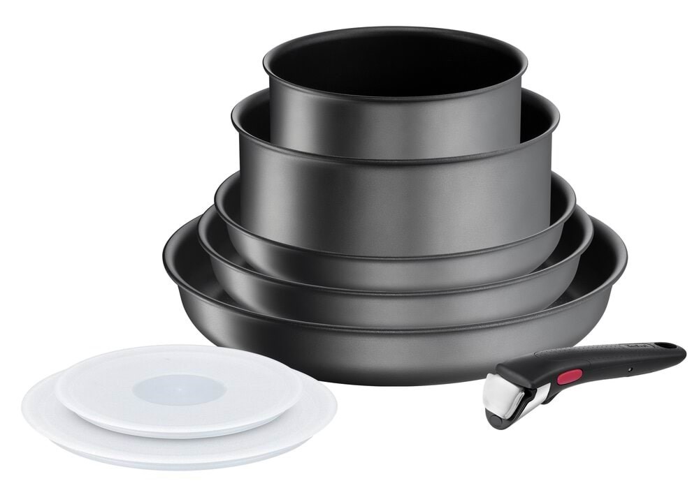 Tefal Ingenio Daily chef ON 8 pcs set Pande L7619202