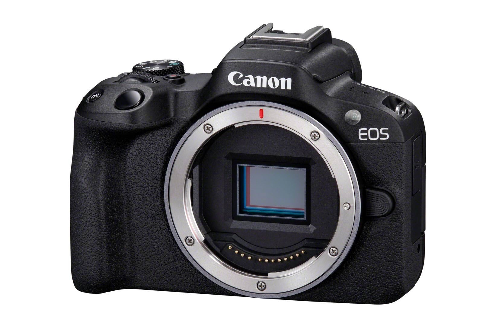 Canon EOS R50 Body Kamera Sort 5811C003