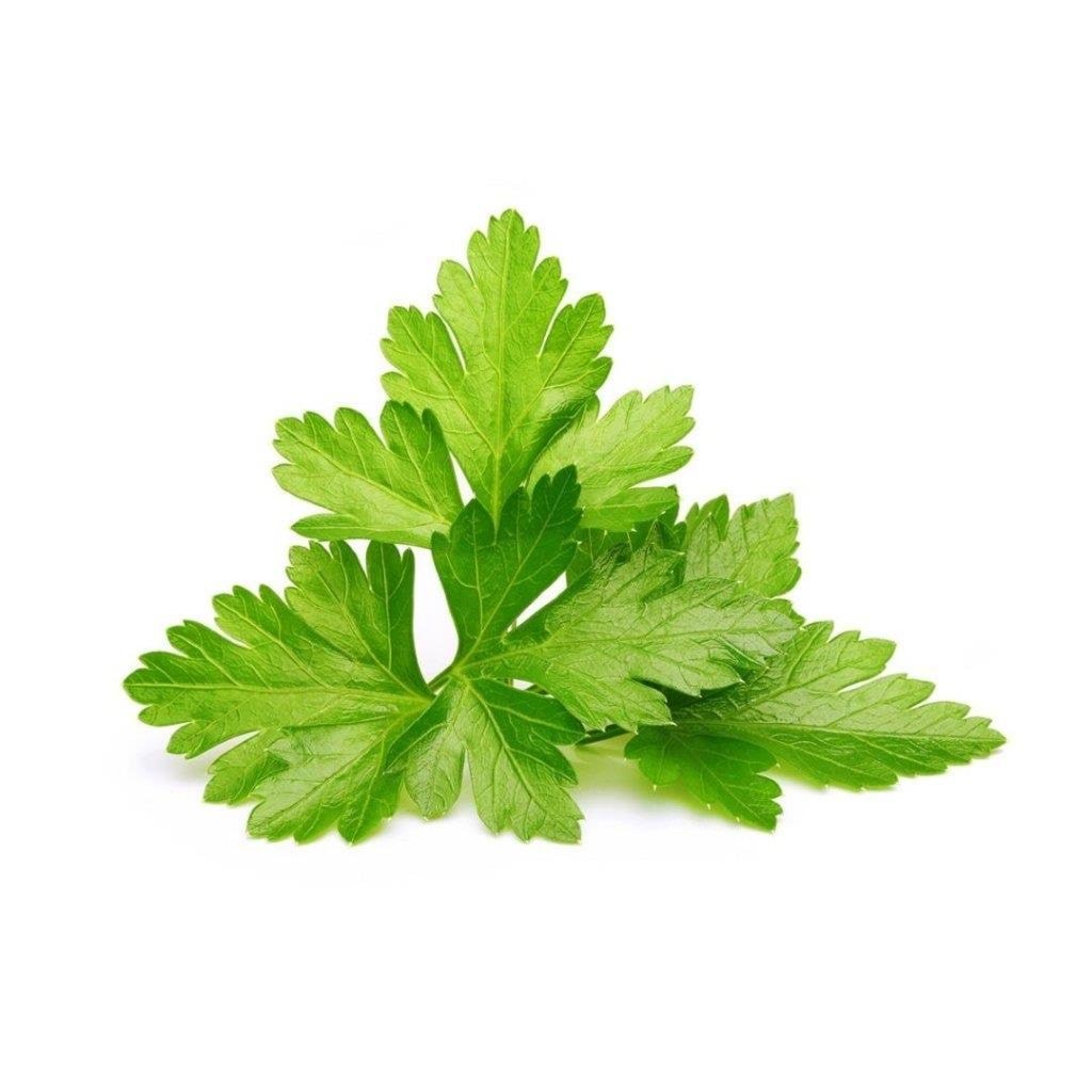 Click & Grow Smart Garden Refill 3-pack - Cilantro/Coriander Smart Home SGR45X3