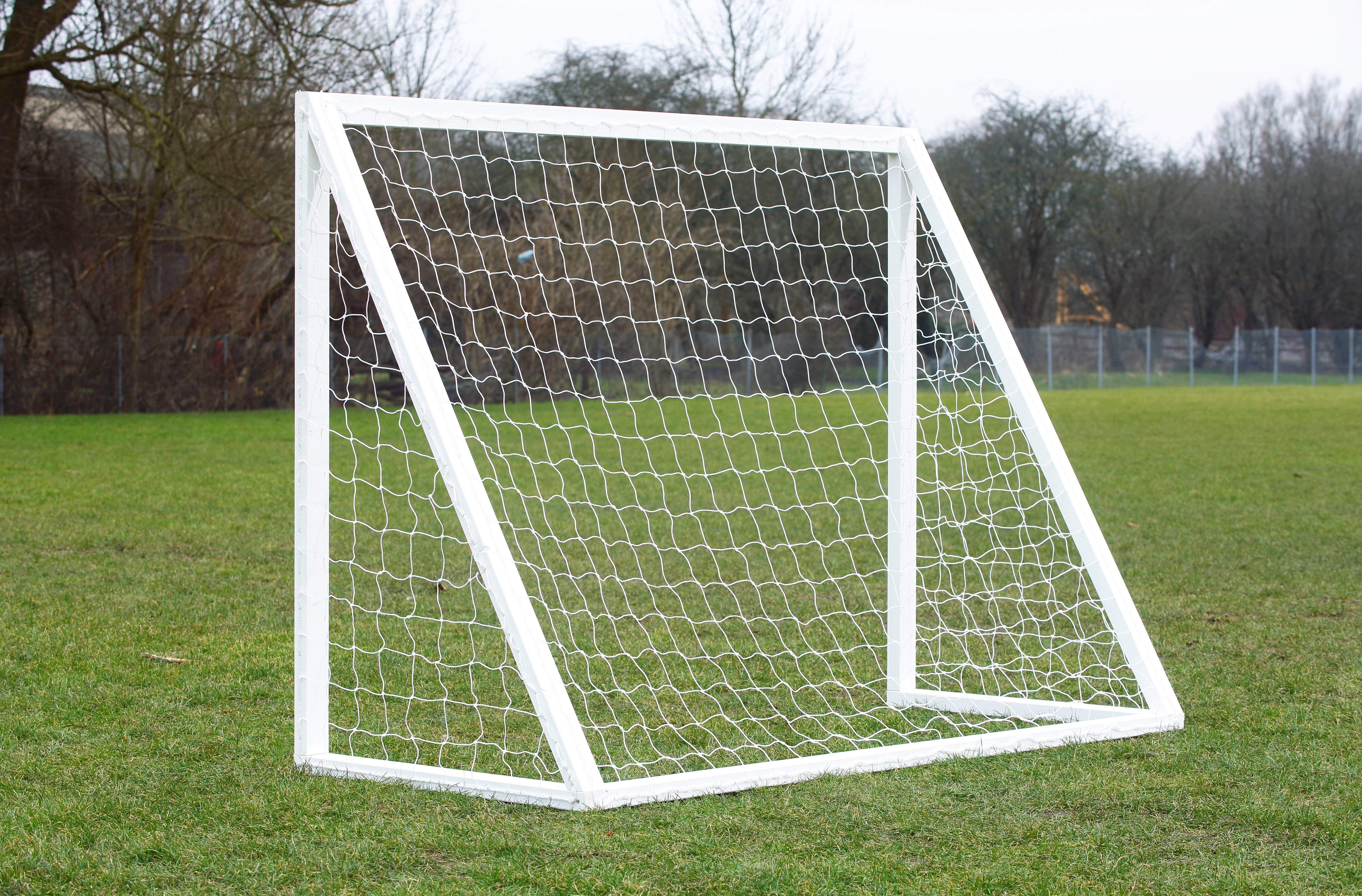 Home Goal Pro Senior - Hvid Boldspil 302113