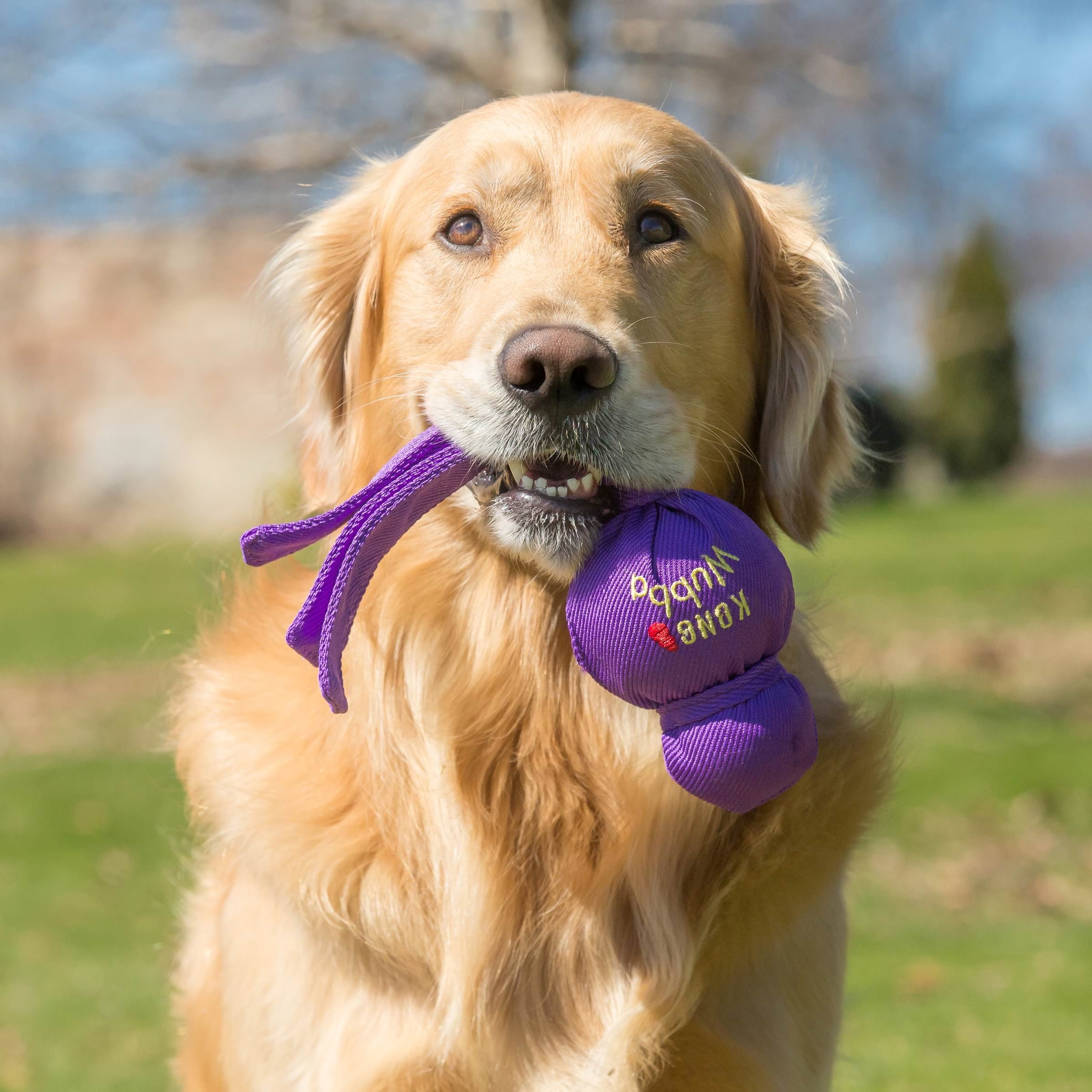 KONG Hundelegetøj Wubba Assorted Colors Large 32cm Hundeudstyr 340461