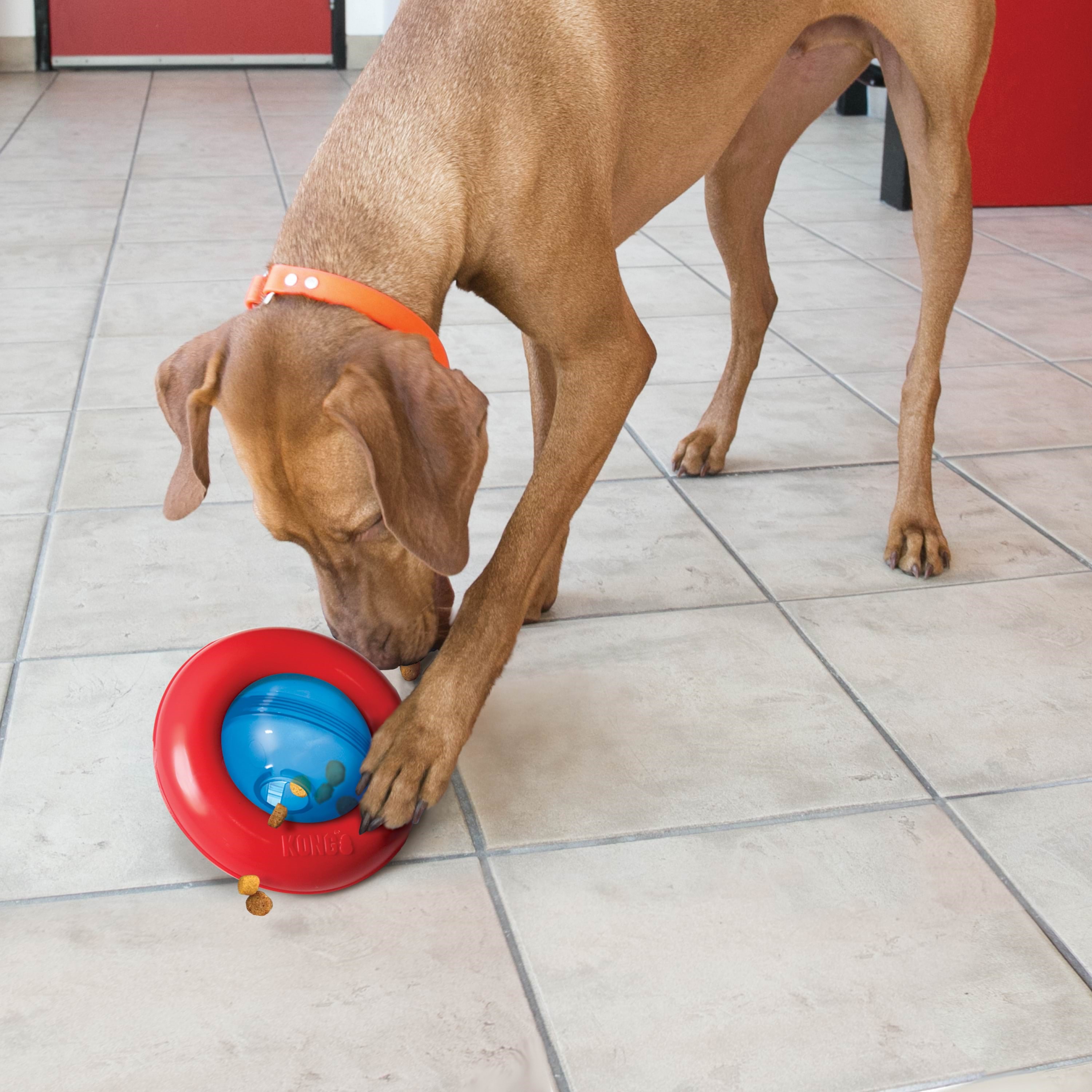 KONG Dog Toy Gyro Small 14cm Hundeudstyr 340808