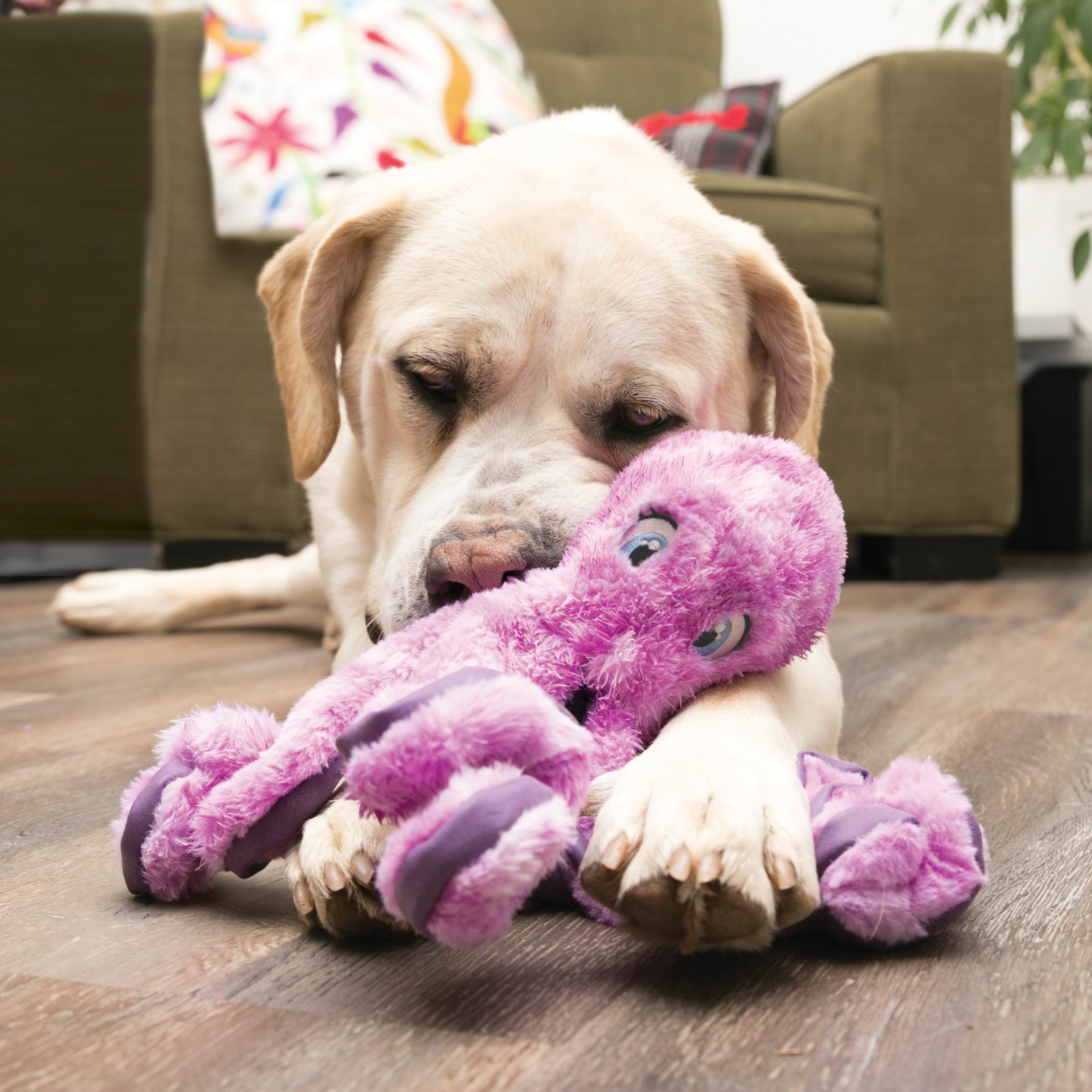 KONG Dog Toy SoftSeas Octopus Large 27cm Hundeudstyr 340846