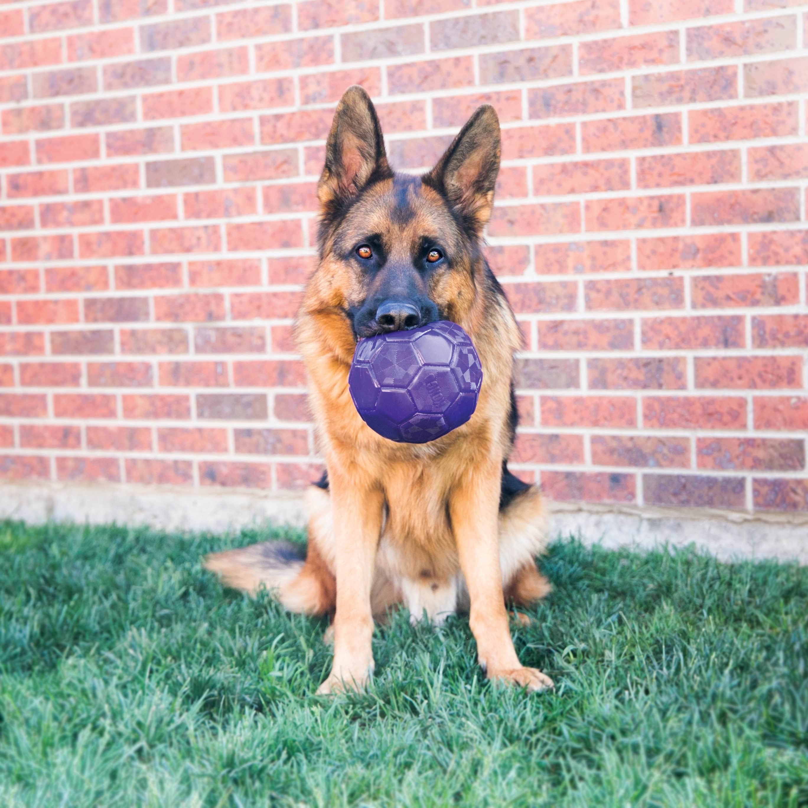 KONG Dog Toy Flexball 15cm Hundeudstyr 340861