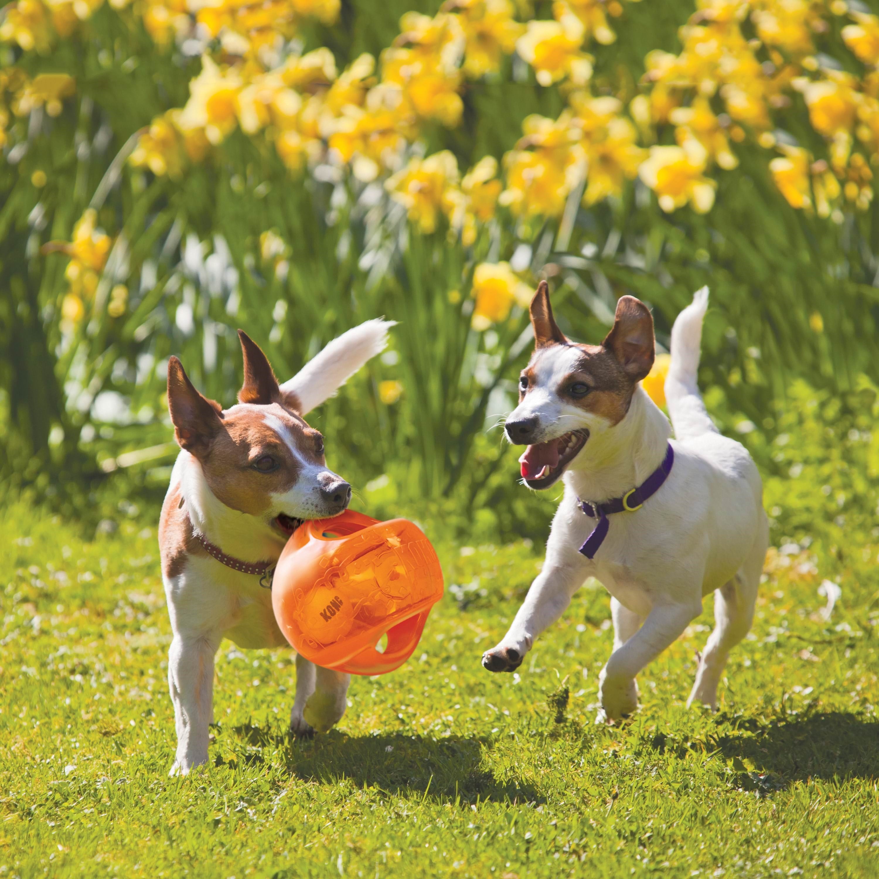 KONG Dog Toy Jumbler Ball Medium/Large 14cm Hundeudstyr 340917