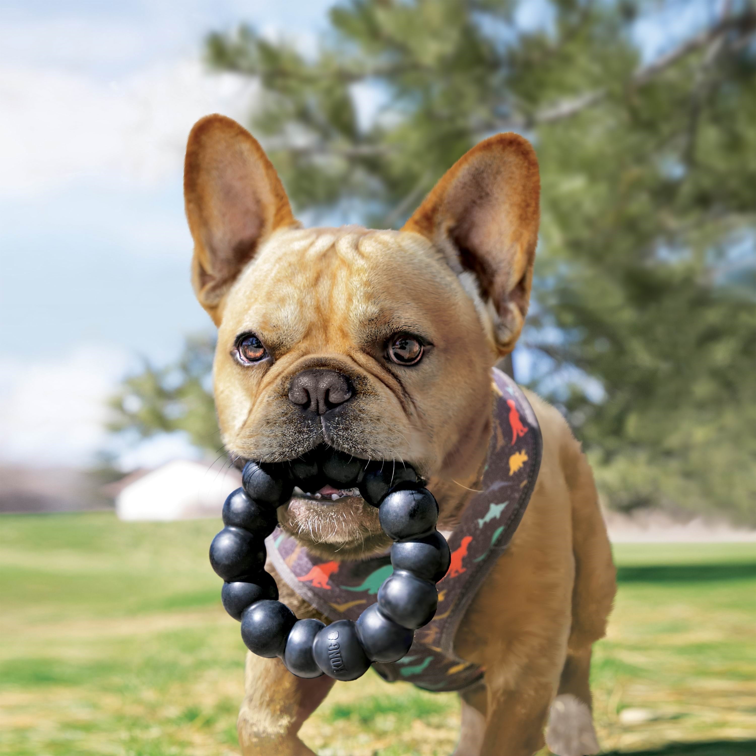 KONG Dog Toy Extreme Ring XL 13cm Hundeudstyr 340926