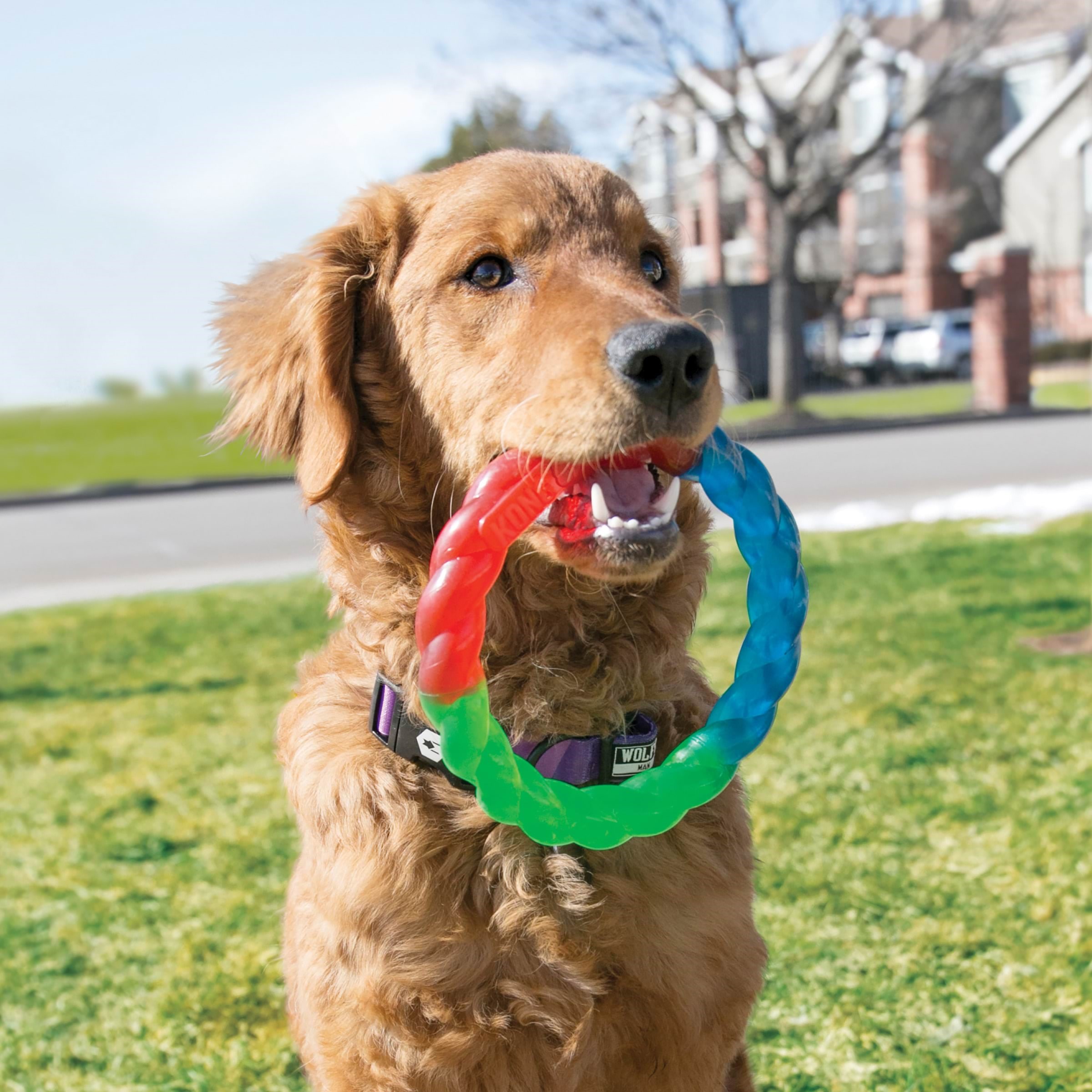 KONG Dog Toy Twistz Ring Small 17cm Hundeudstyr 340938