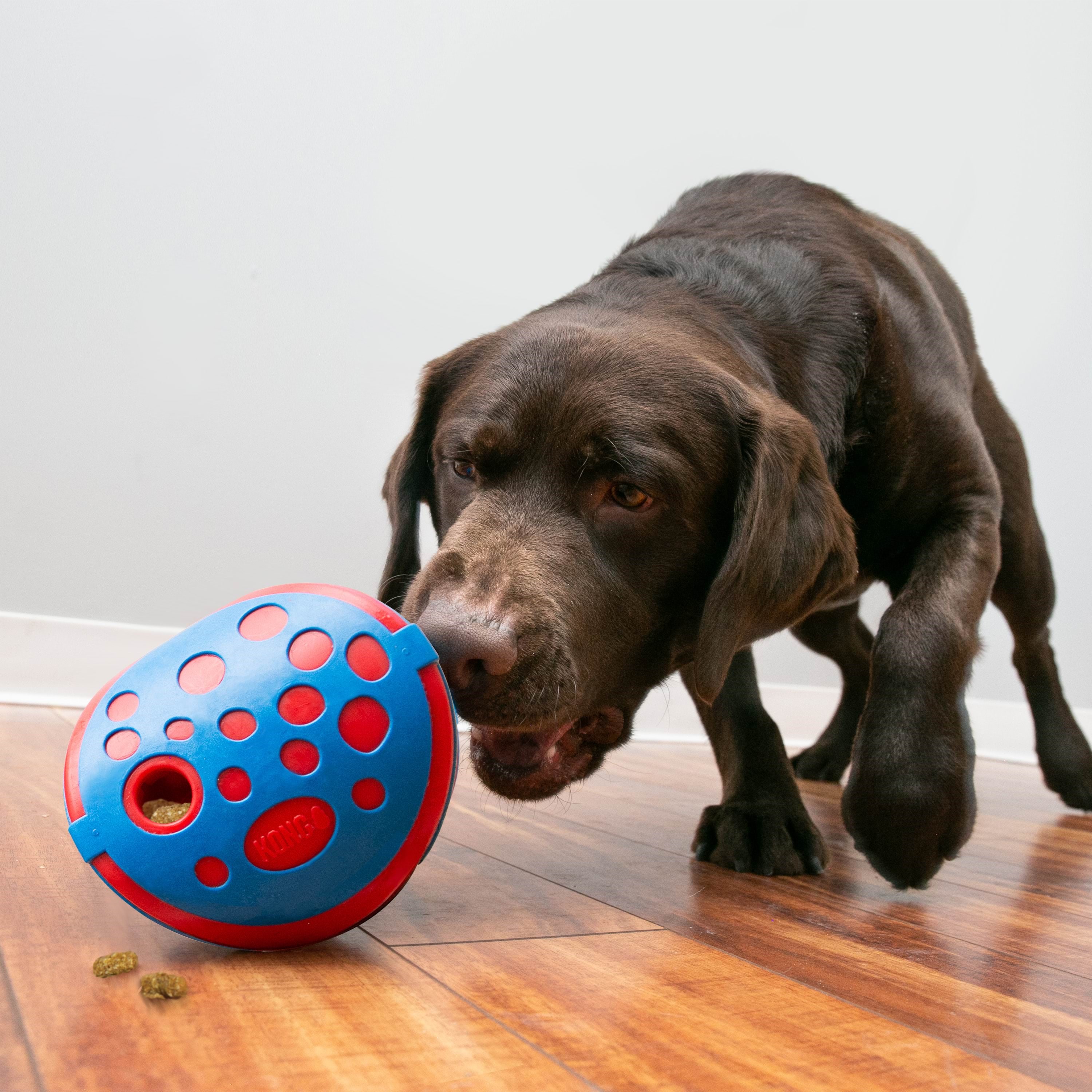 KONG Aktiveringslegetøj Rewards Wally Hundeudstyr 341014