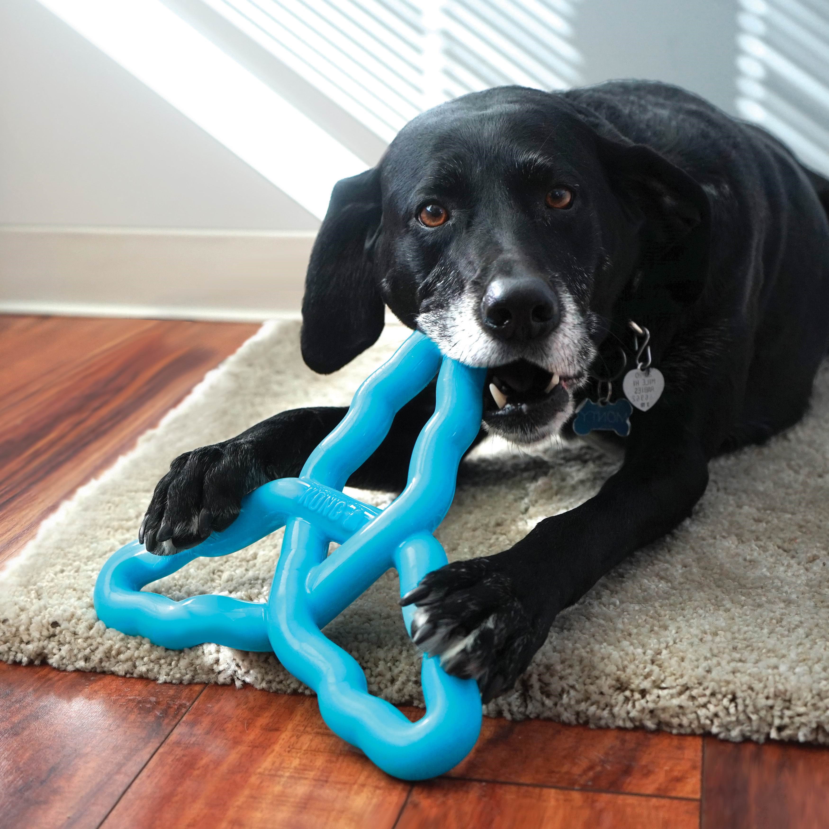 KONG Dog Toy Flyangle Assorted Colors Large Hundeudstyr 341015