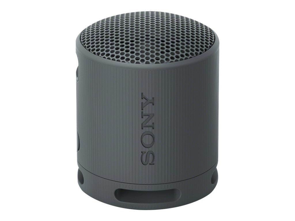 Sony SRS-XB100 - Portable speaker - Black Baerbare Fest Hoejtalere Sort SRSXB100B.CE7