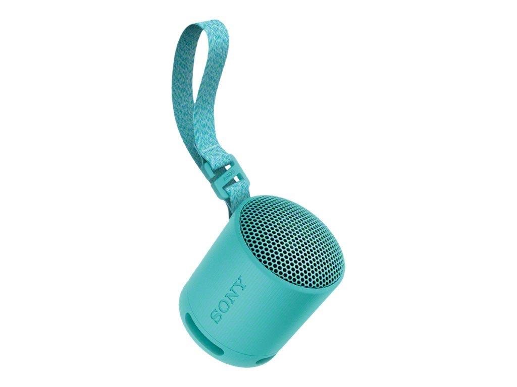 Sony SRS-XB100 - portable speaker - Blue Baerbare Fest Hoejtalere Blå SRSXB100L.CE7