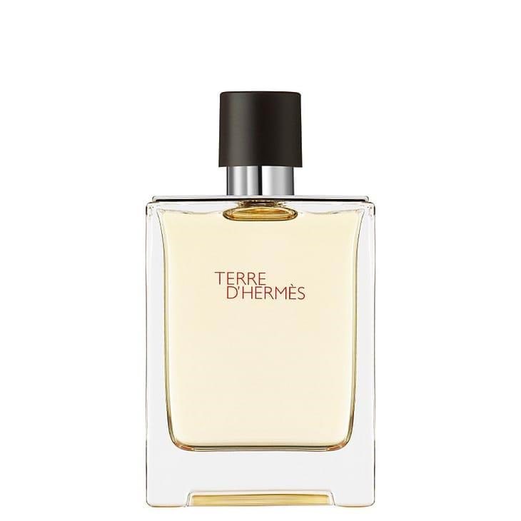 Hermès Terre d' EDT - 100 ml Parfume 3346130009603