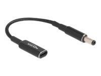 DeLOCK - power adapter - 24 pin USB-C to DC jack 5.5 x 2.1 mm - 15 cm Strømkabel Sort 60039