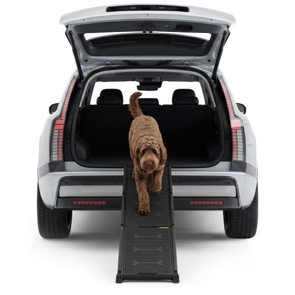 4Pets Pro line easy step Hundeudstyr T6801