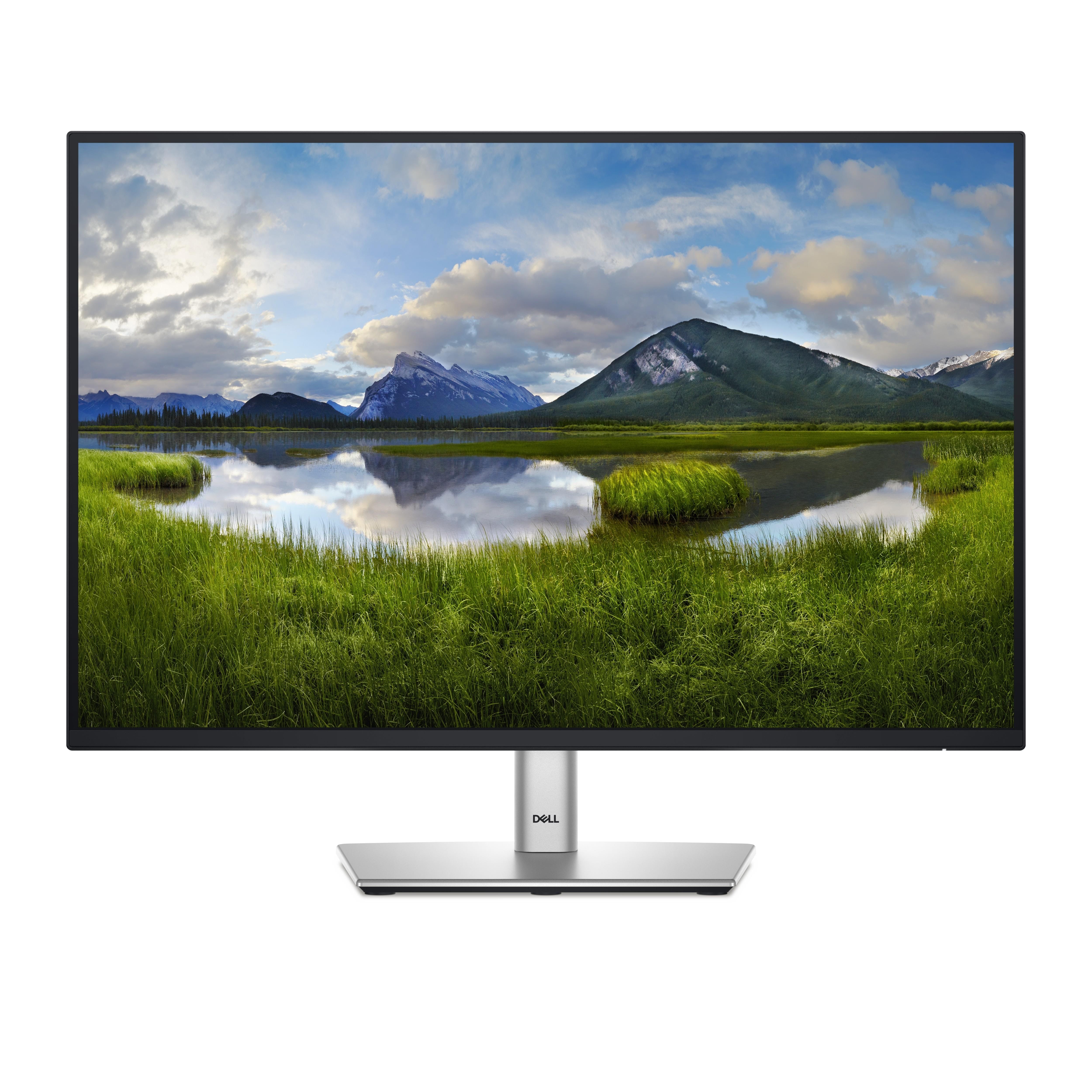 24" Dell P2425E - 1920x1200 - 100Hz - IPS - 90W USB-C Computerskærm Silver DELL-P2425E