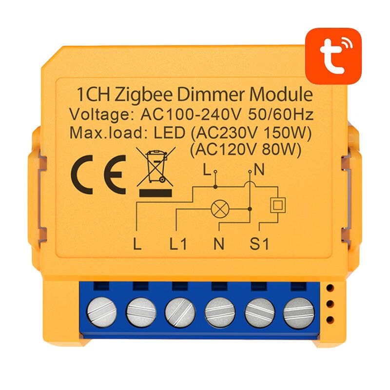 Avatto Smart socket switch ZigBee ZDMS16-2 TUYA Smart Home
