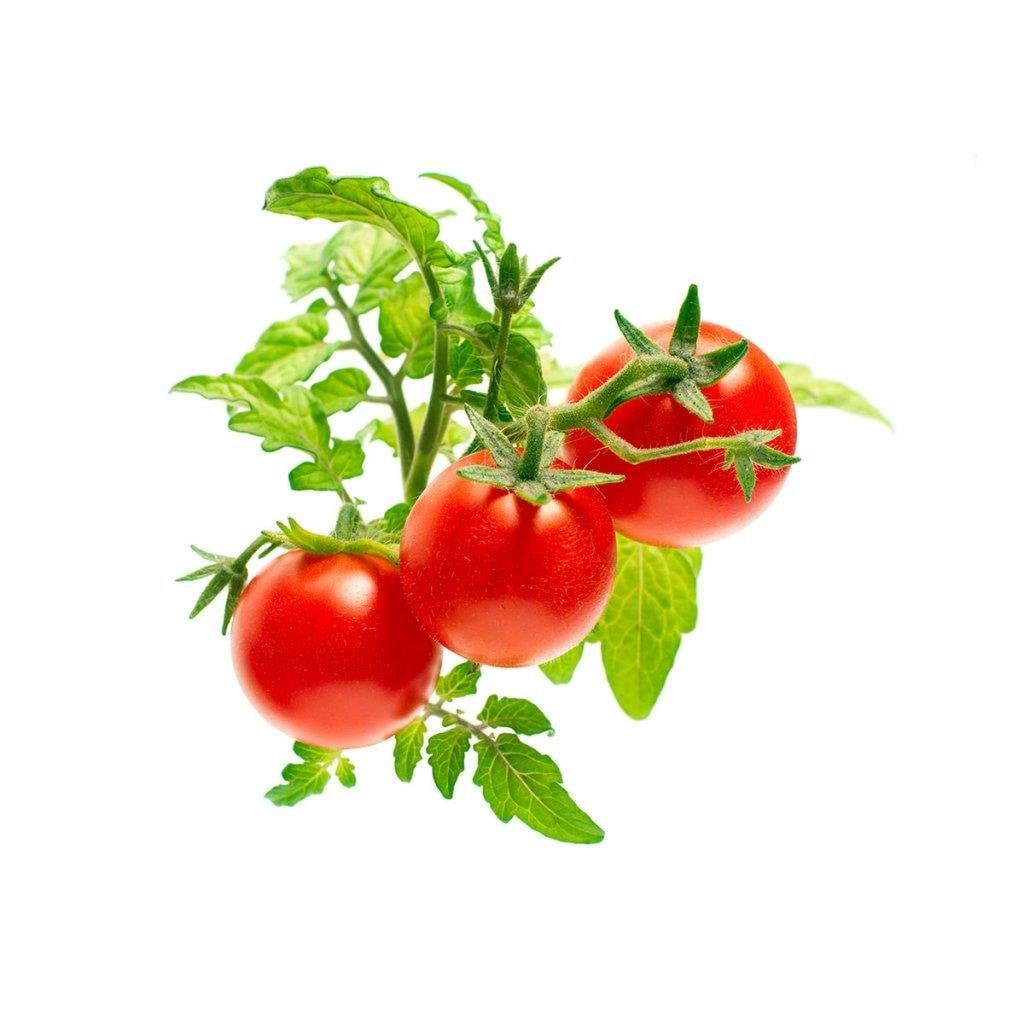 Click & Grow Click and Grow - Smart Garden Refill 3-pack - Mini Tomato (SGR5X3) Smart Home