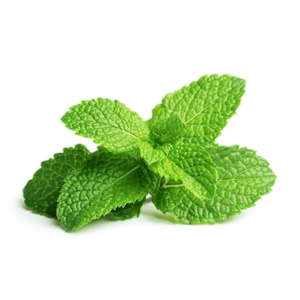Click & Grow Click and Grow - Smart Garden Refill 3-pack - Peppermint (SGR22X3)