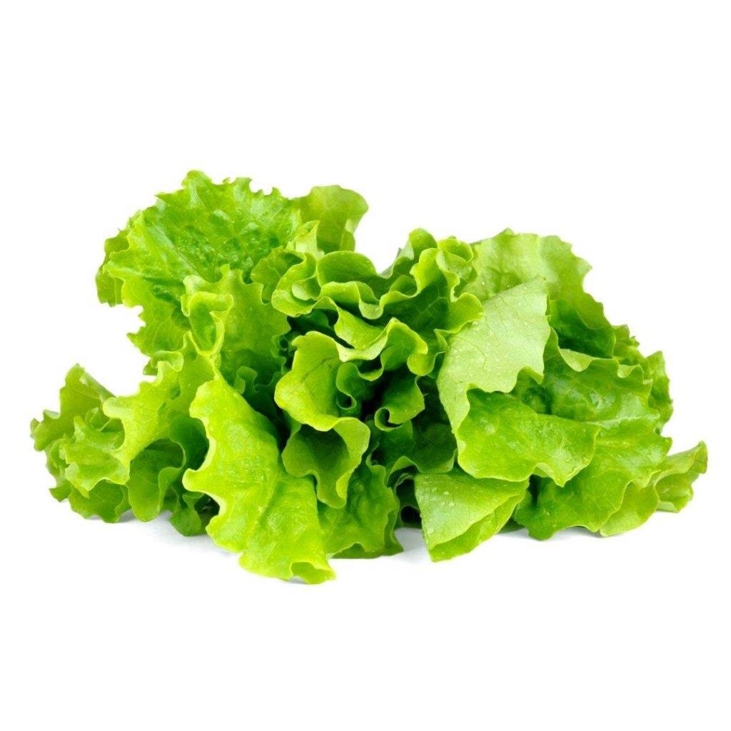 Click & Grow Click and Grow - Smart Garden Refill 3-pack - Green Lettuce (SGR32X3) Smart Home