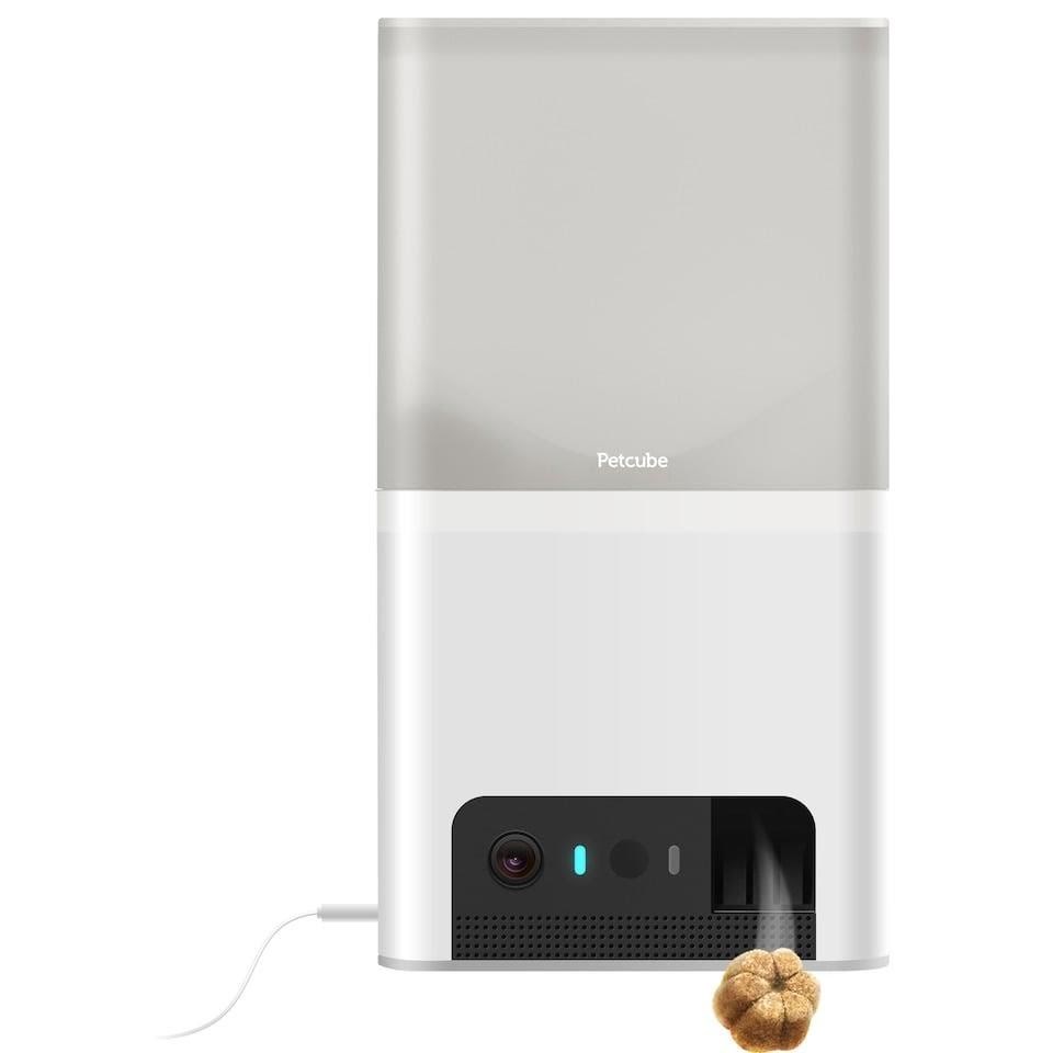 Petcube Bites 2 Light Hundeudstyr BL10US