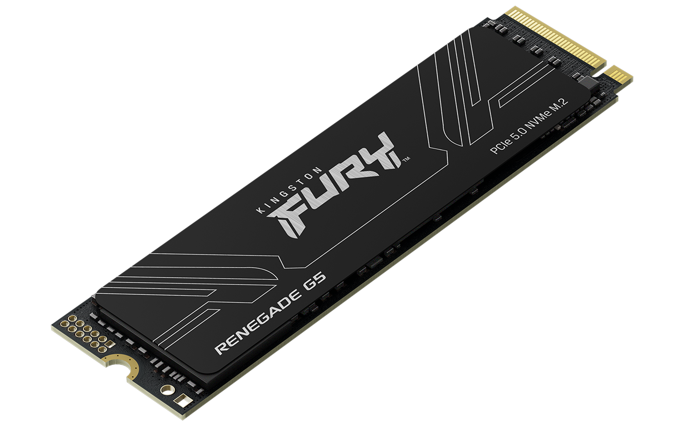 Kingston FURY Renegade G5 SSD - 1TB - PCIe 5.0 - M.2 2280 Ssd Harddisk Sort SFYR2S/1T0