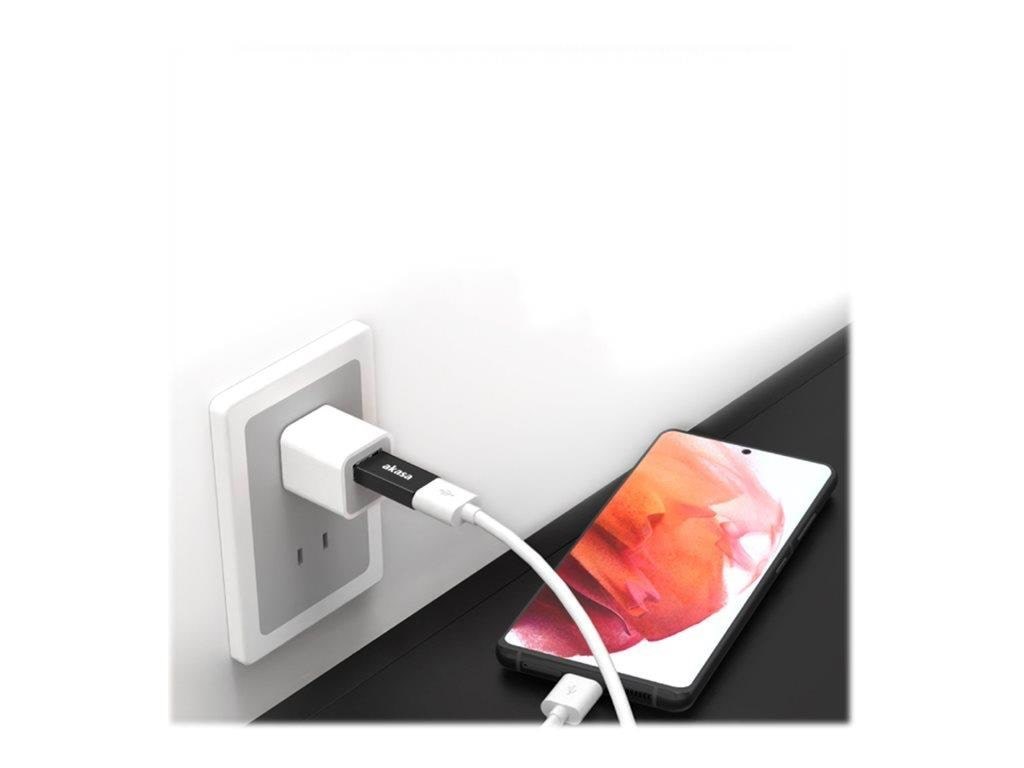 Akasa - USB-C adapter - USB Type A to 24 pin USB-C Usb Kabel Sort AK-CBUB61-KT02