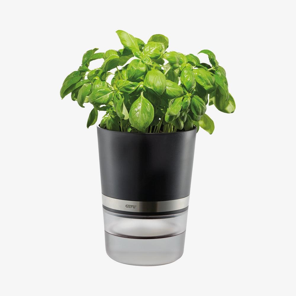 GEFU Krydderurtepotte, BOTANICO Køkkentilbehør 4006664189200