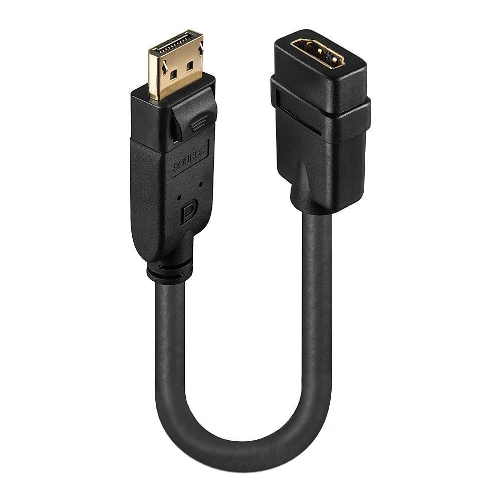 Lindy Display Port 1.2 to HDMI 1.3 Passive Converter Skærmkabel Sort 41005