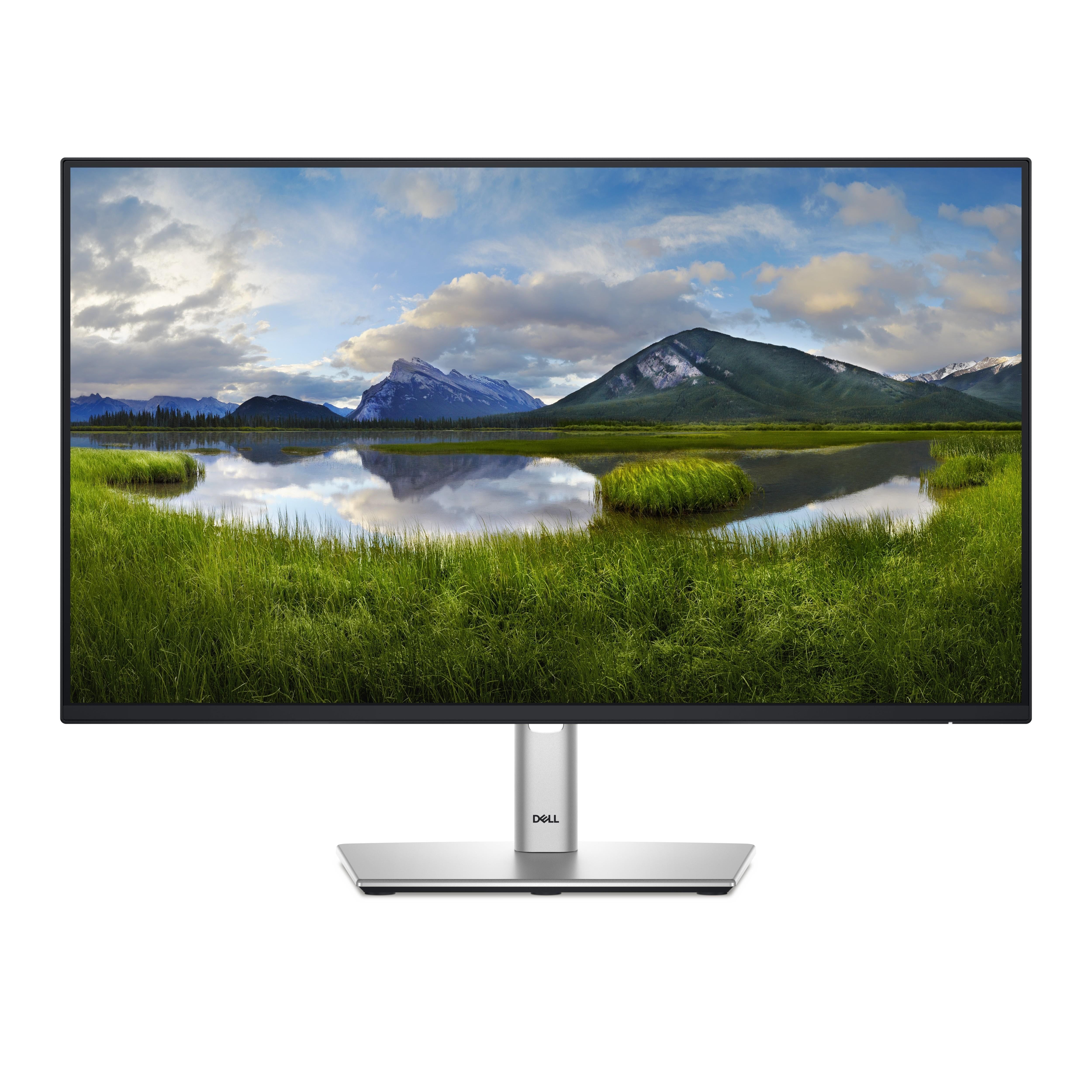 24" Dell P2425HE - 1920x1080 (FHD) - 100Hz - IPS - 90W USB-C Computerskærm Silver DELL-P2425HEHF