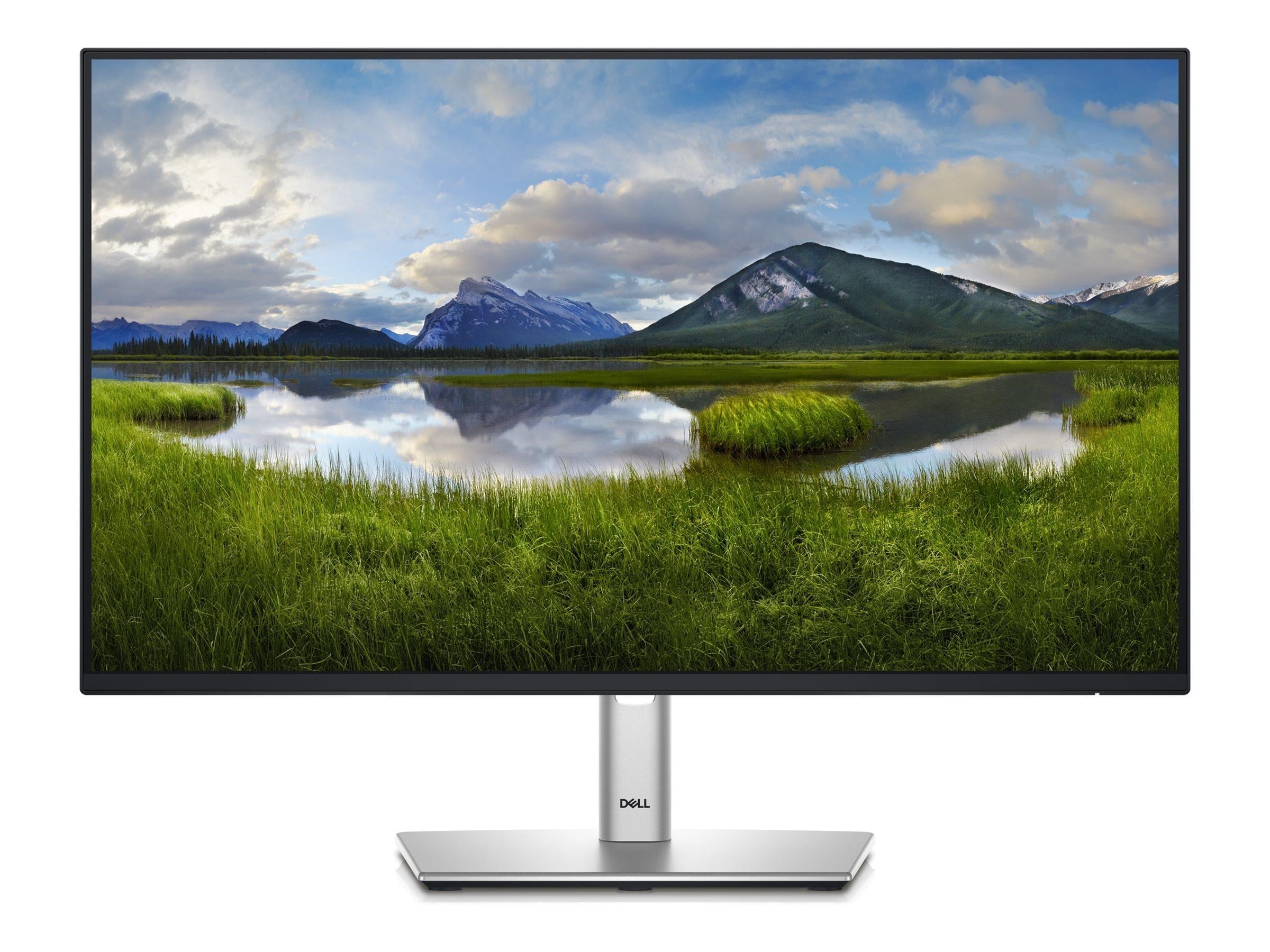 24" Dell P2425H - 1920x1080 (FHD) - 100Hz - IPS - 15W USB-C Computerskærm Silver DELL-P2425HHF