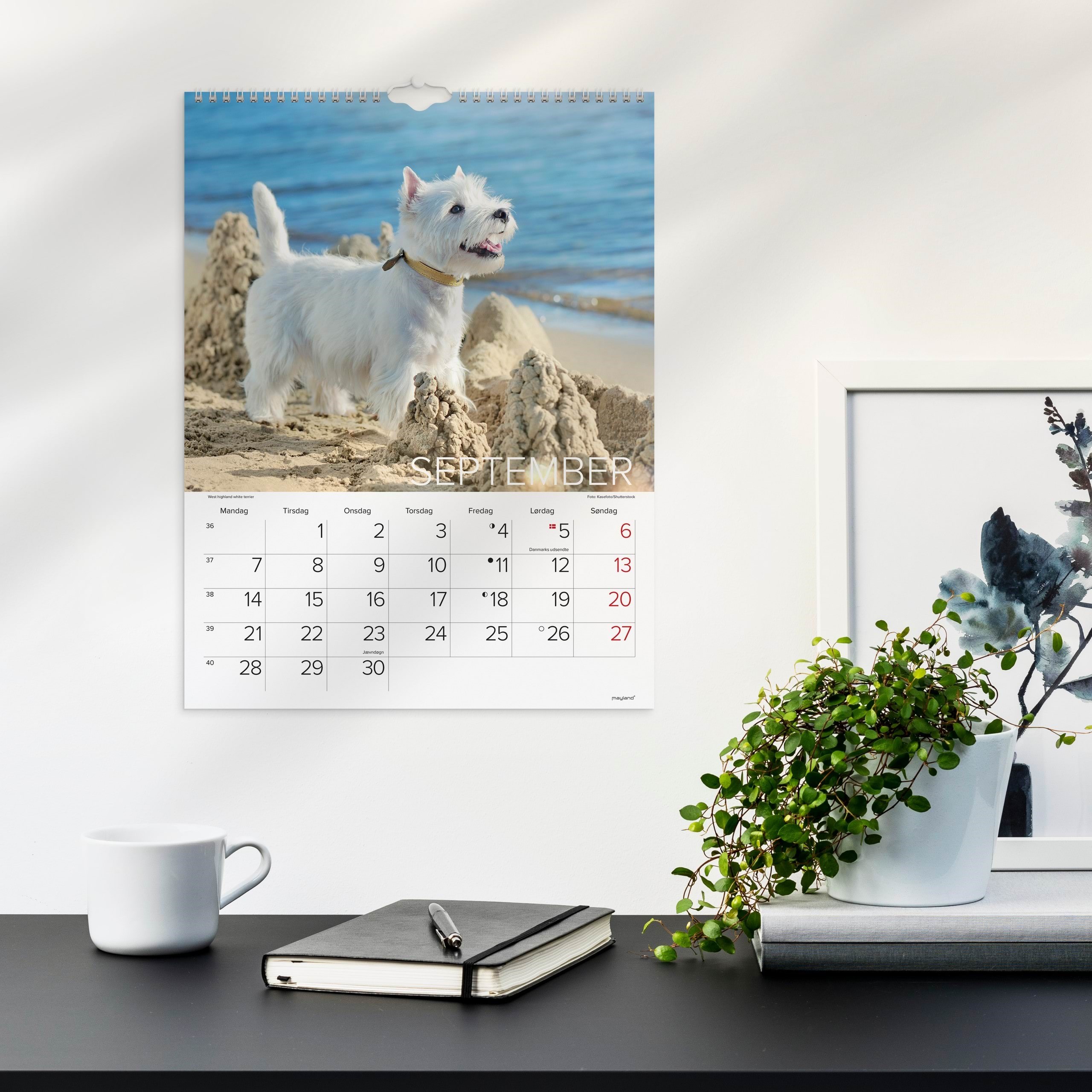 Mayland Vægkalender Hunde 2026 Kalender 26066320