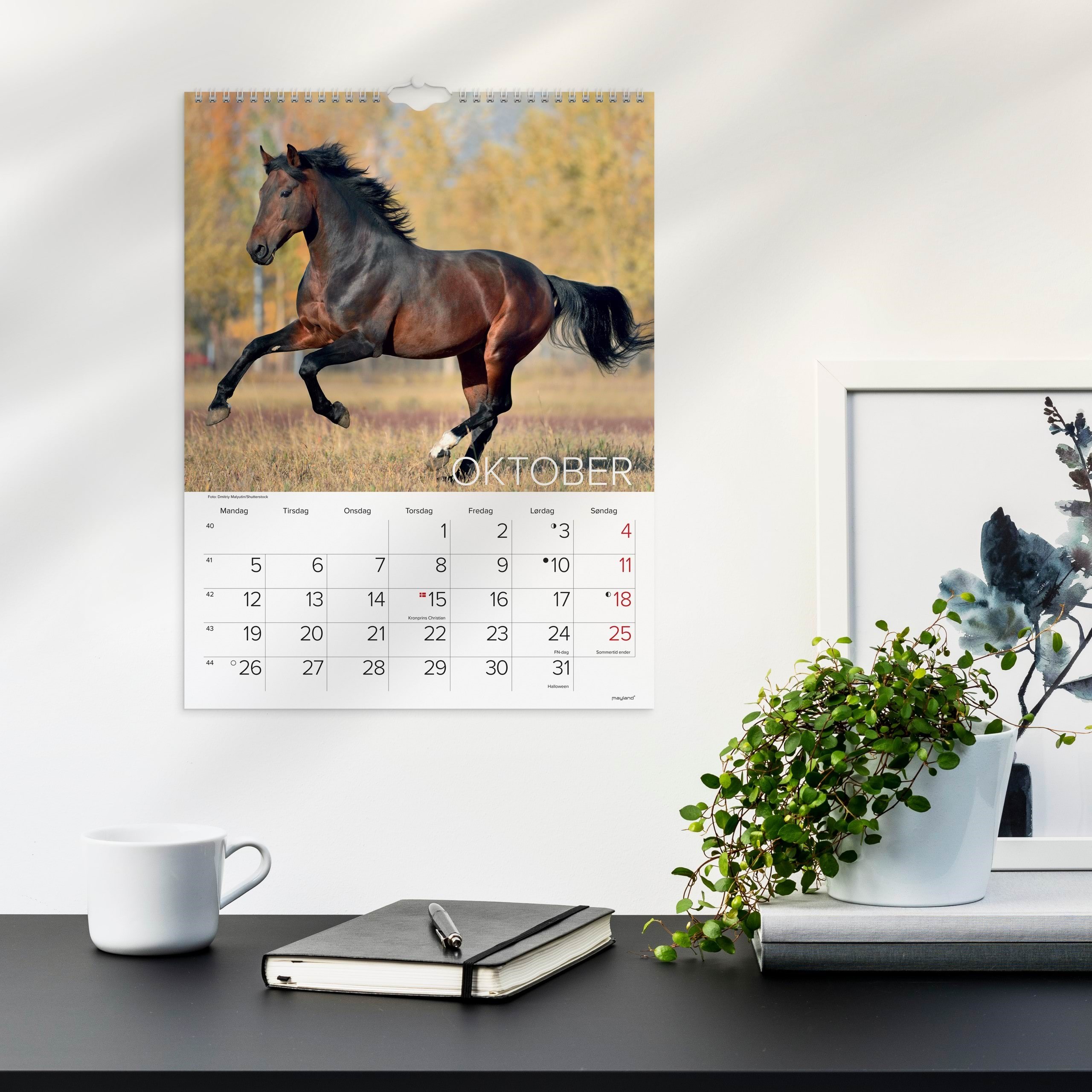 Mayland Vægkalender Heste 2026 Kalender 26066310