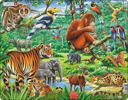 Larsen Puzzles Puzzle Jungle Animals - 20 pieces Maxi (36.5x28.5 cm) 2D Puslespil Puslespil FH24